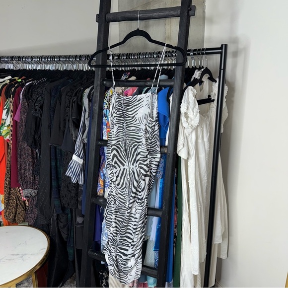 Lioness Mesh Zebra Print Mini Dress in Black White - Picture 6 of 11